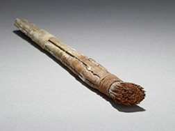 Ancient Egyptian Brush Photo